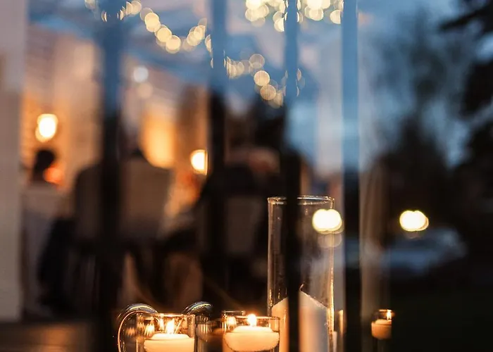 Zolka Vendeghaz בדקסוניטומאי