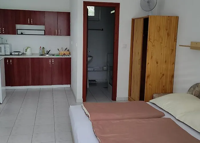 לינה וארוחת בוקר Zolka Vendeghaz בדקסוניטומאי