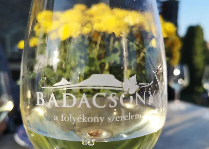 לינה וארוחת בוקר Zolka Vendeghaz 3*