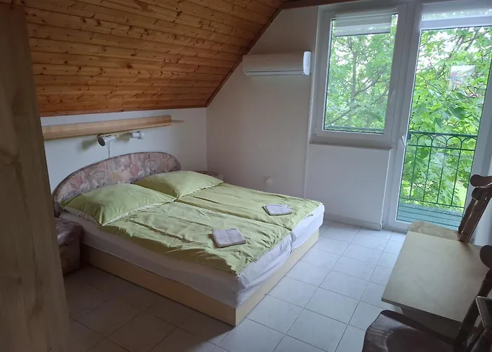 Zolka Vendeghaz בדקסוניטומאי