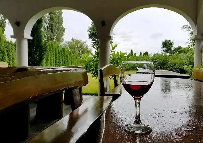 Zolka Vendeghaz לינה וארוחת בוקר בדקסוניטומאי